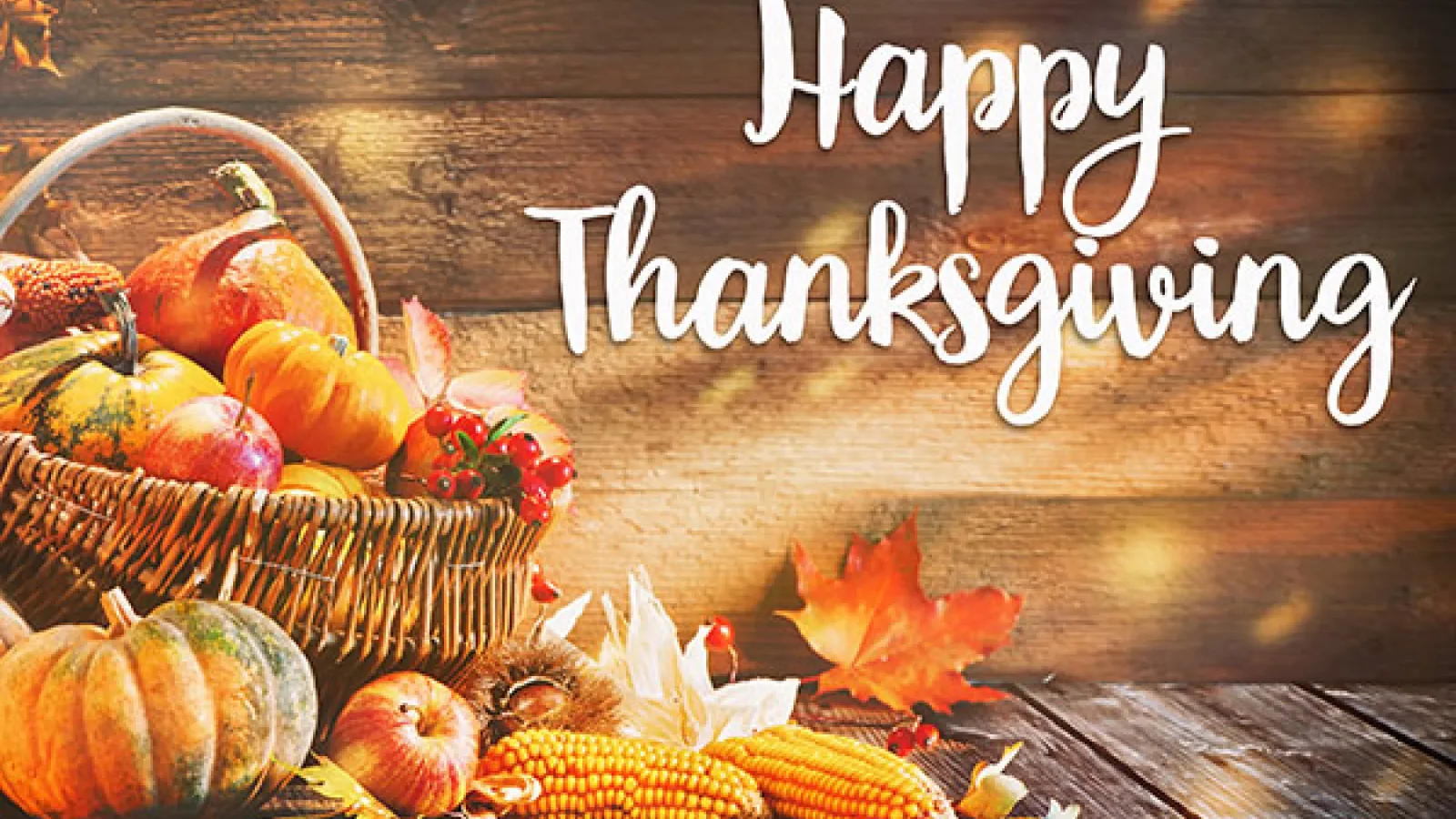 Happy Thanksgiving from the CHRR Director’s Desk